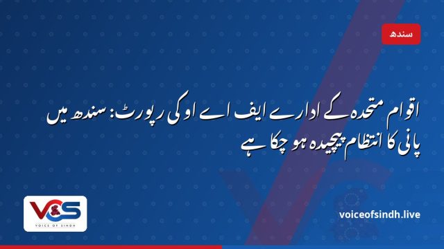 اقوام متحدہ کے ادارے ایف اے او کی رپورٹ: سندھ میں پانی کا انتظام پیچیدہ ہو چکا ہے