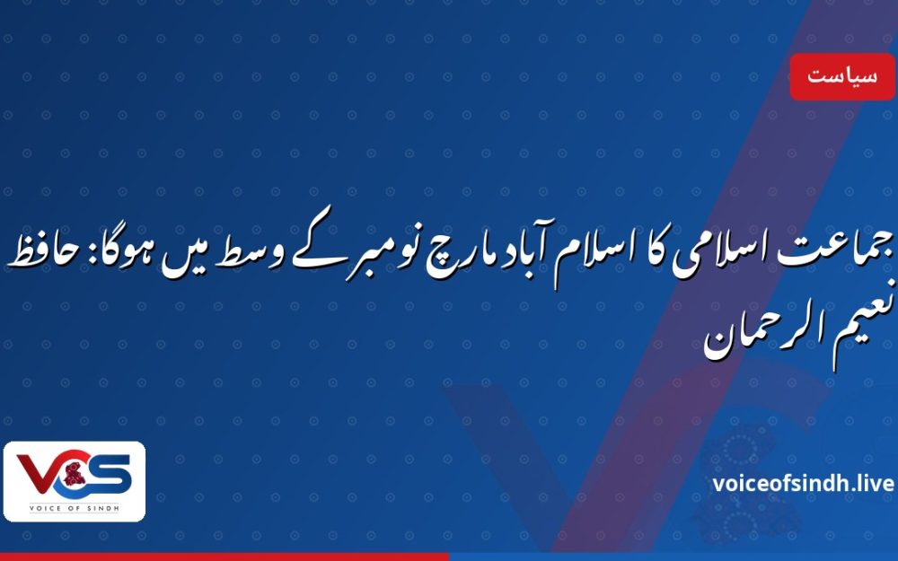 جماعت اسلامی کا اسلام آباد مارچ نومبر کے وسط میں ہوگا: حافظ نعیم الرحمان