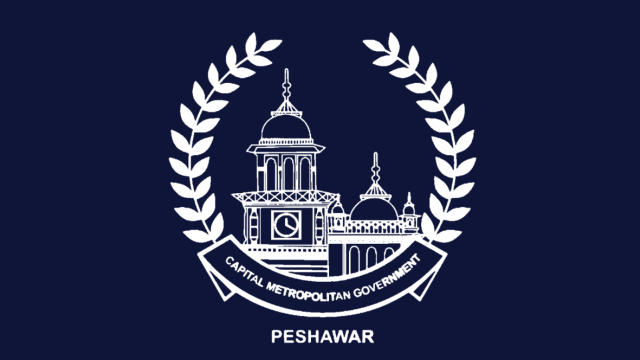خیبر پختونخوا میں منکی پاکس کے چار کیسز سامنے آ گئے